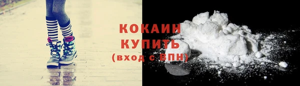 PSILOCYBIN Заводоуковск
