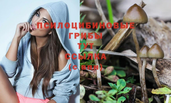 трава Заволжск