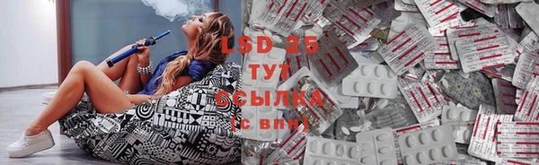 PSILOCYBIN Заводоуковск