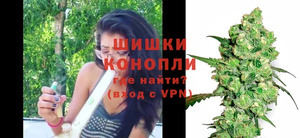 PSILOCYBIN Заводоуковск
