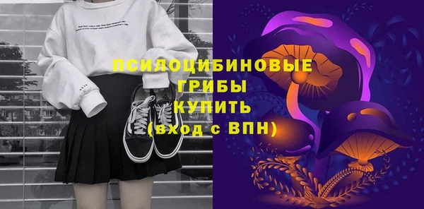 PSILOCYBIN Заводоуковск
