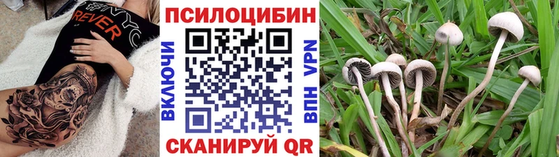Купить  Закаменск  Галлюциногенные грибы ЛСД 